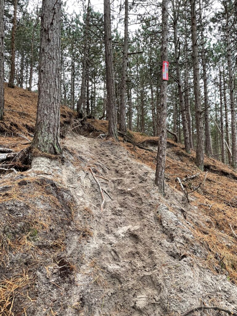 Zand en boomwortels op het parcours
